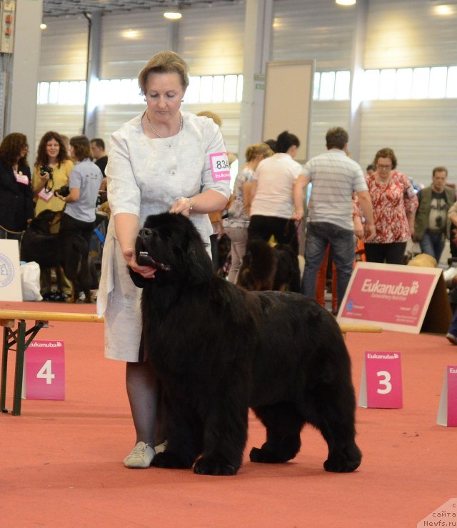 Фотография № 127965