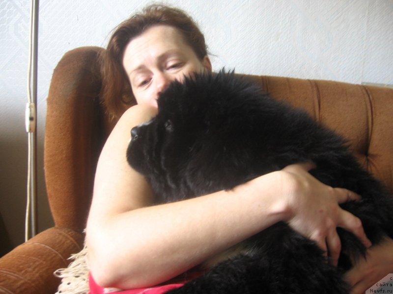 Фотография № 128001