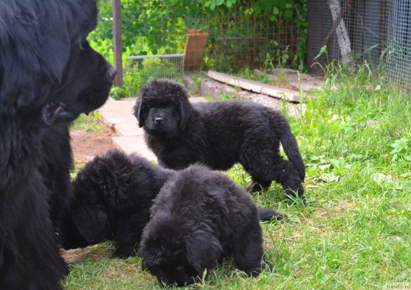 Фотография № 128033