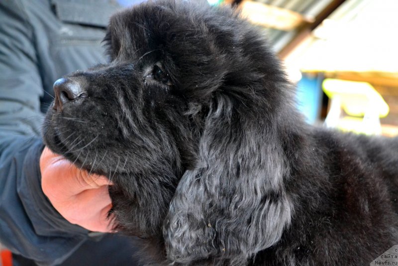 Фотография № 128036