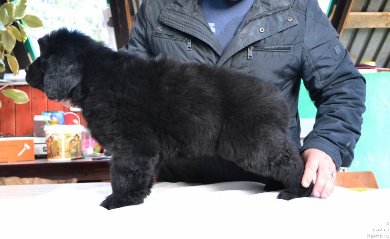 Фотография № 128037