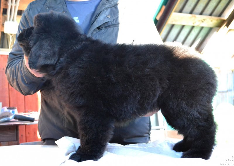 Фотография № 128047