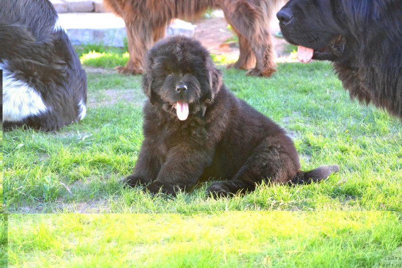 Фотография № 128053