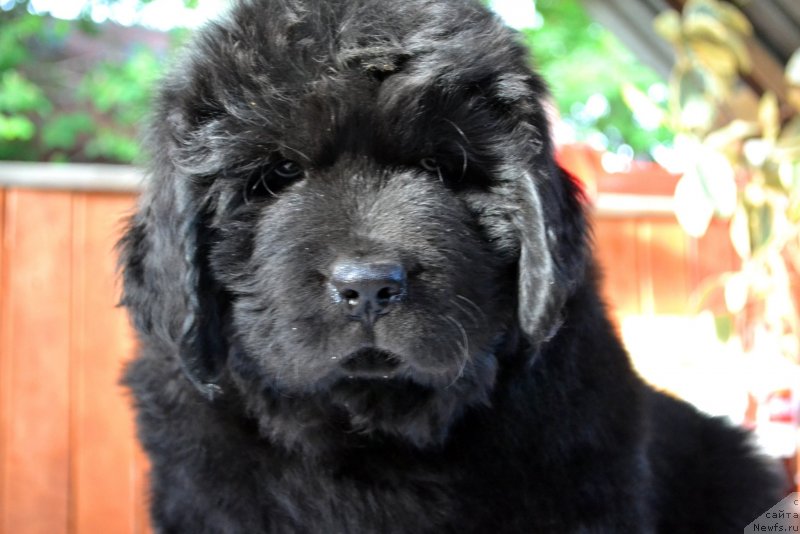 Фотография № 128055