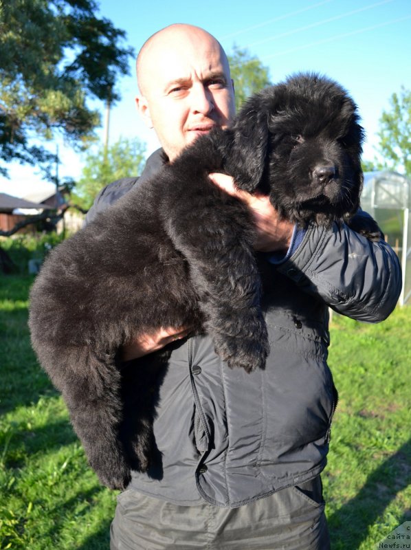 Фотография № 128056