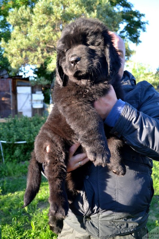 Фотография № 128072