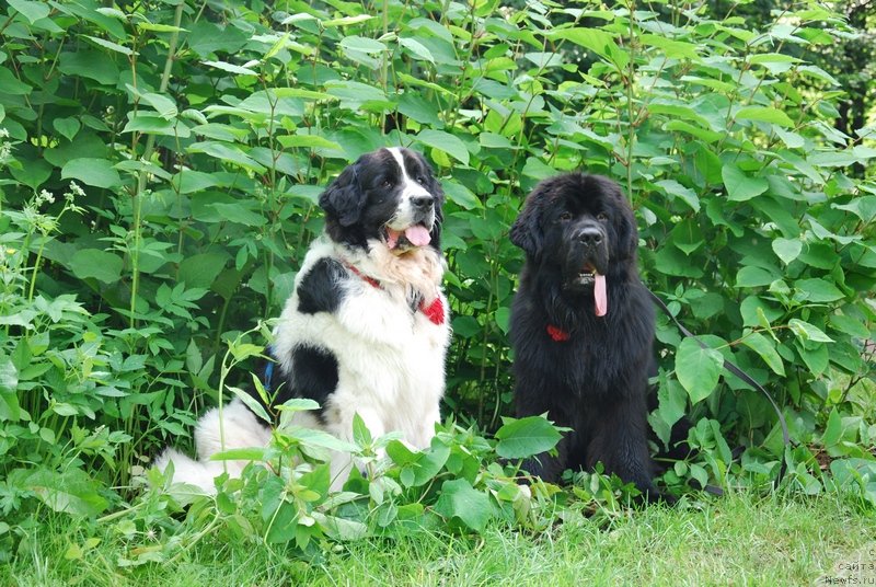 Фотография № 128076