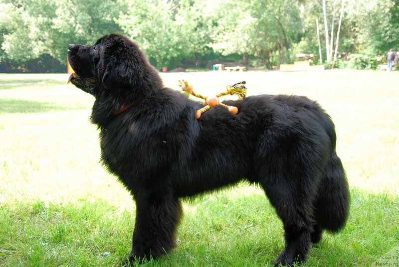 Фотография № 128077