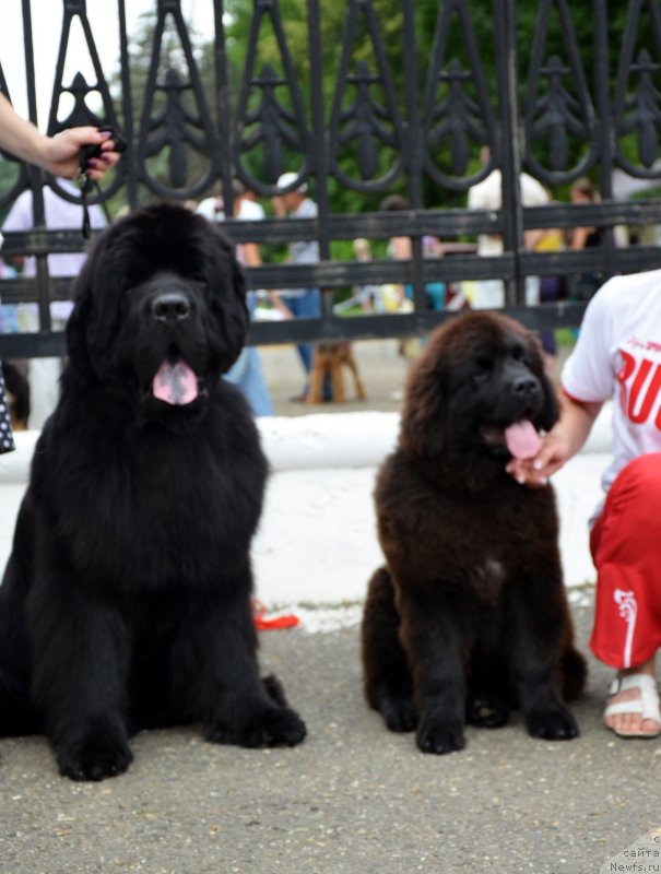 Фотография № 128121