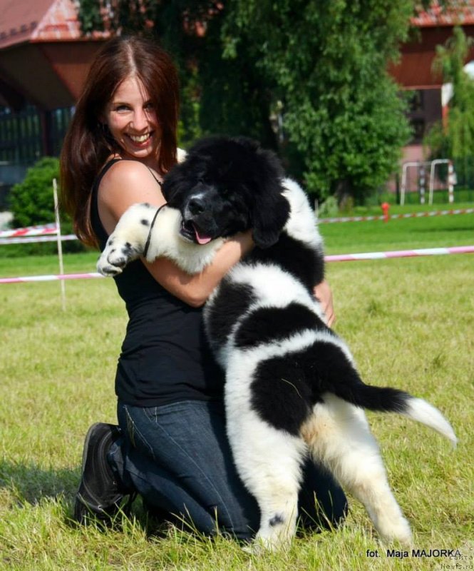 Фотография № 128126