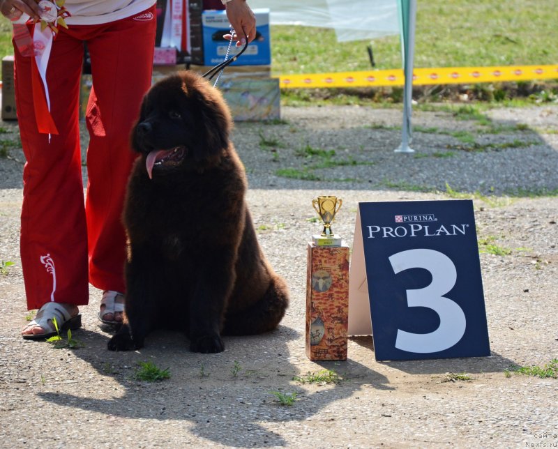 Фотография № 128136