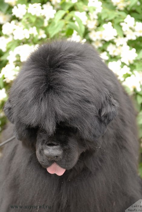 Фотография № 128164