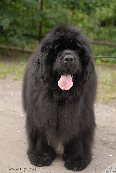 Фотография № 128166