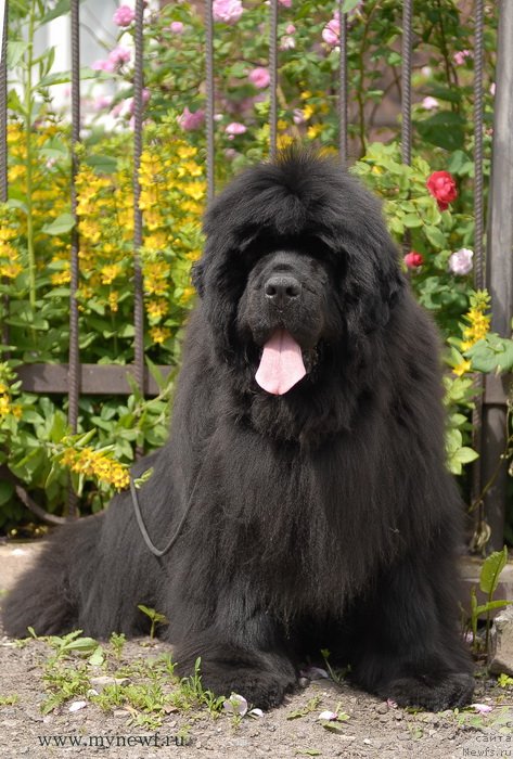 Фотография № 128169