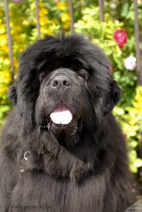 Фотография № 128170