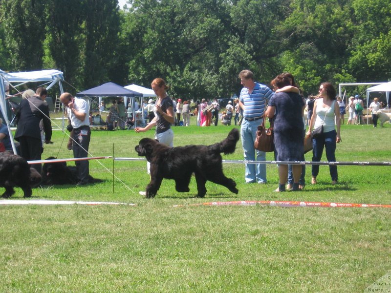 Фотография № 128172