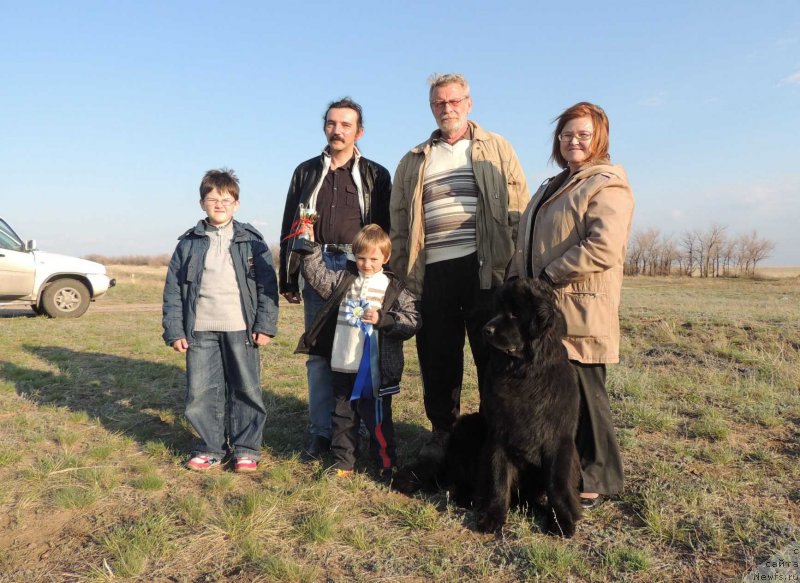 Фото: ньюфаундленд Bi Perfekt Arabella (Би Перфект Арабелла)