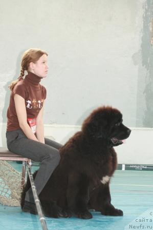 Фотография № 12828