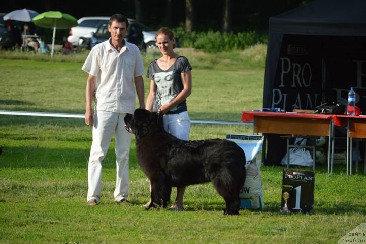 Фотография № 128283