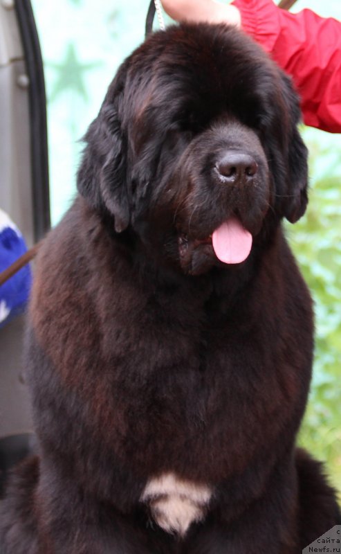 Фотография № 128301