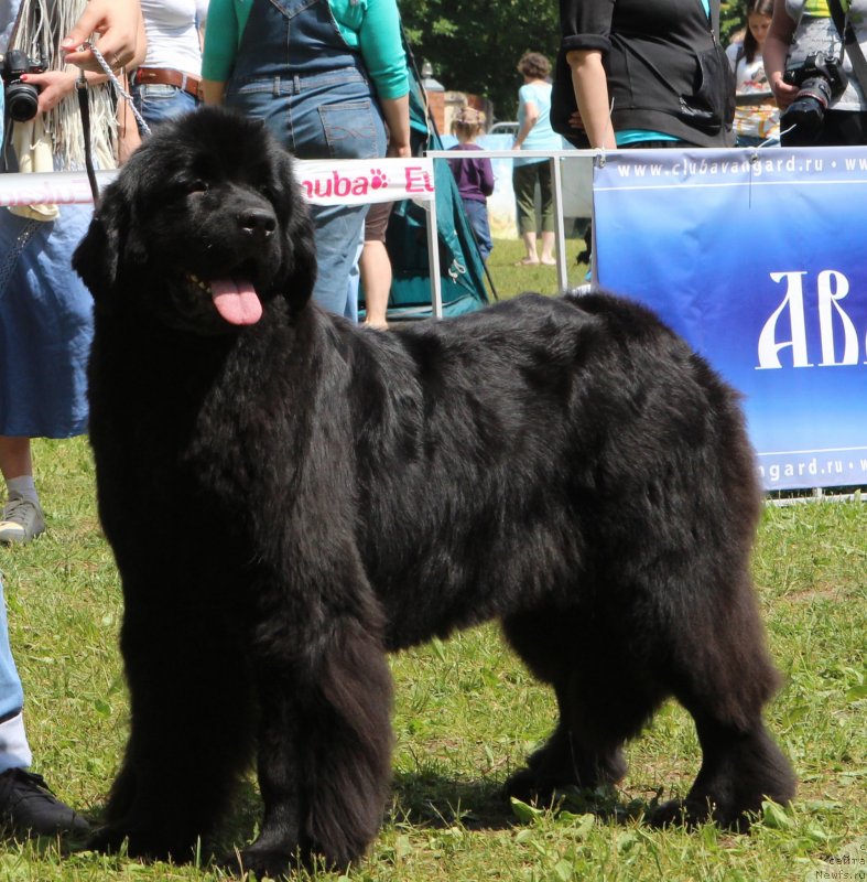 Фотография № 128303