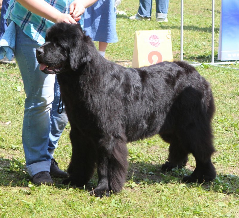 Фотография № 128306