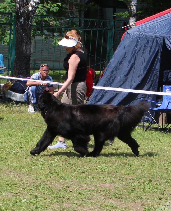 Фотография № 128307