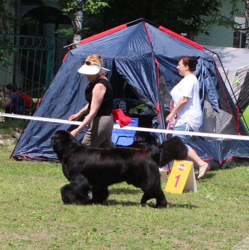 Фотография № 128308