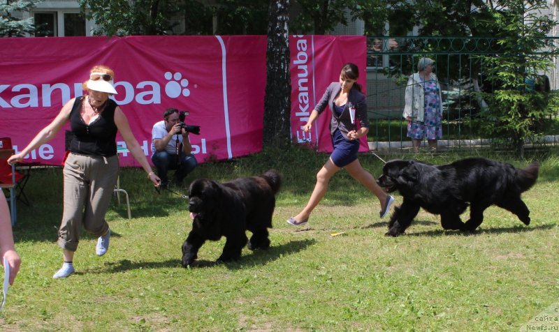 Фотография № 128316