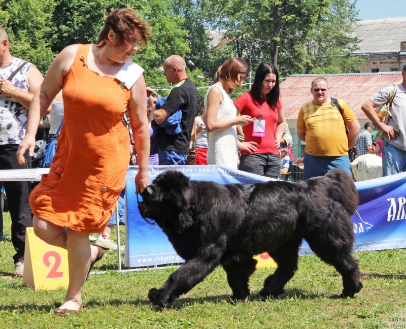 Фотография № 128318