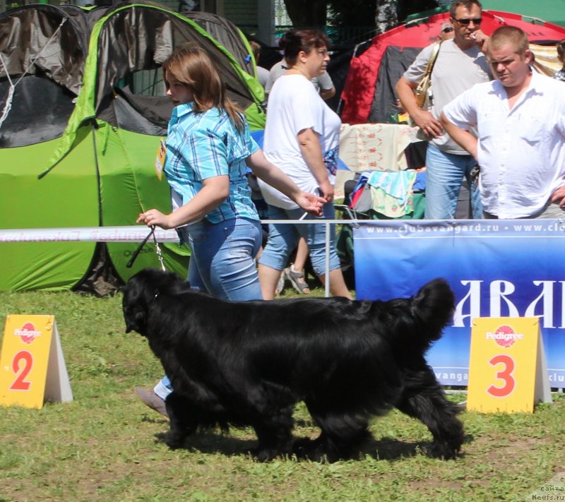 Фотография № 128319