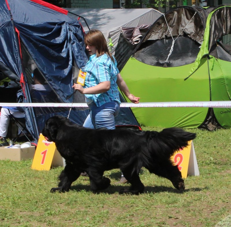 Фотография № 128320