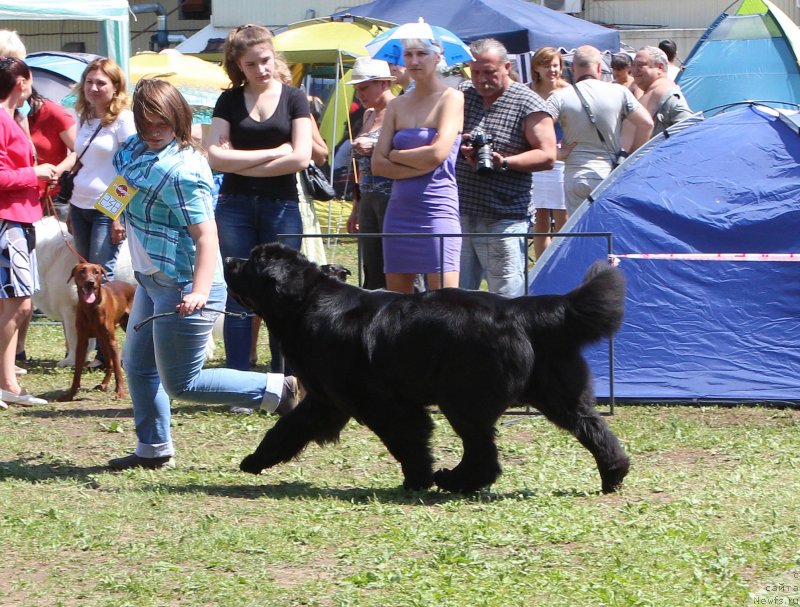 Фотография № 128322