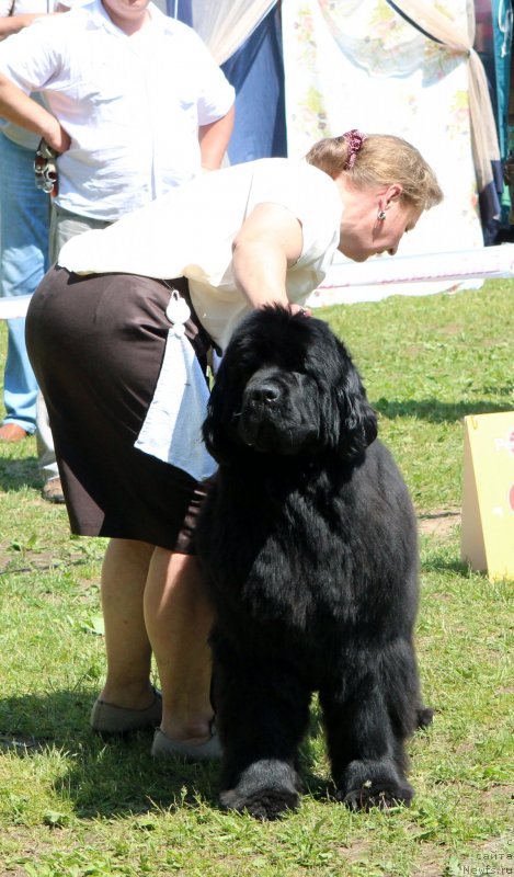 Фотография № 128330