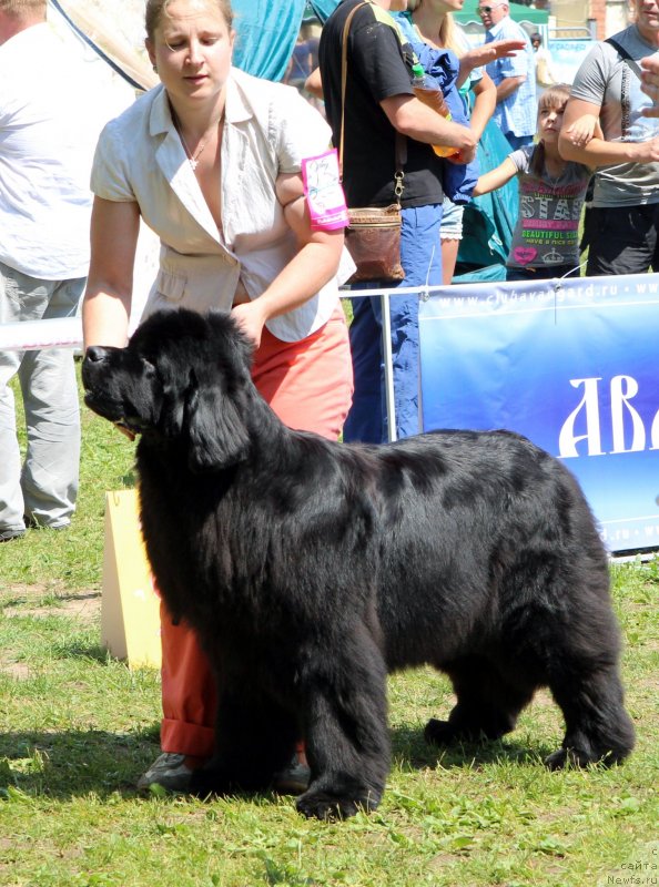 Фотография № 128331