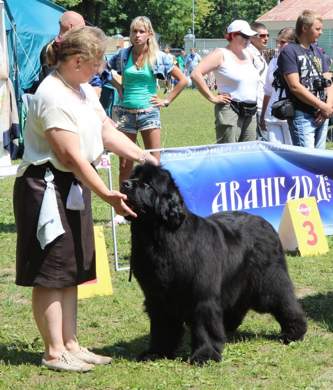 Фотография № 128332