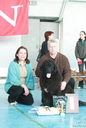 Фотография № 12834