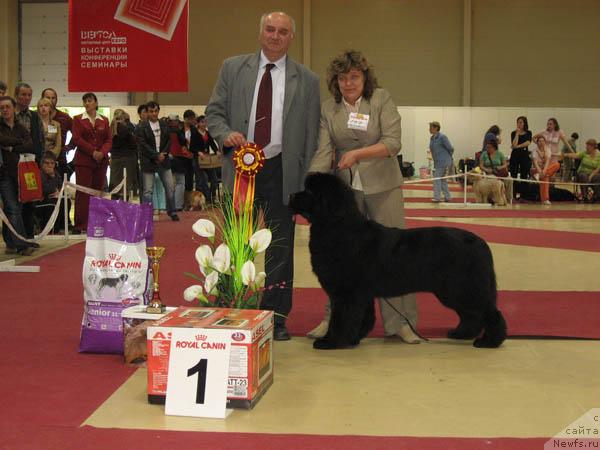 Фотография № 12839