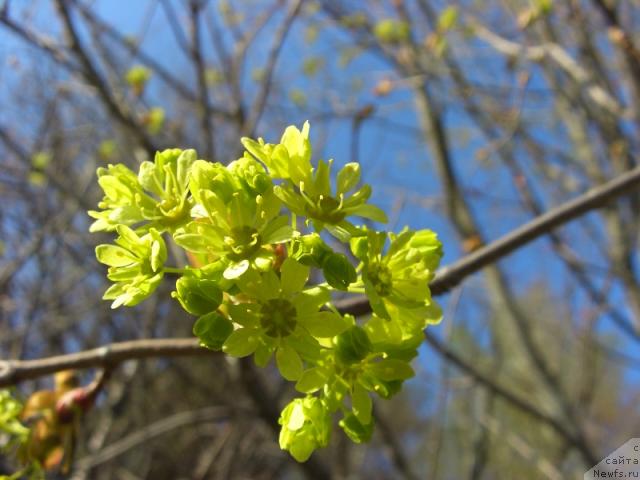 Фотография № 12847