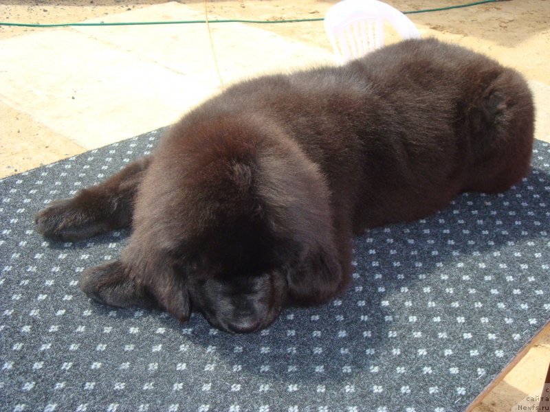 Фотография № 128498