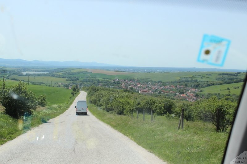 Фотография № 128507