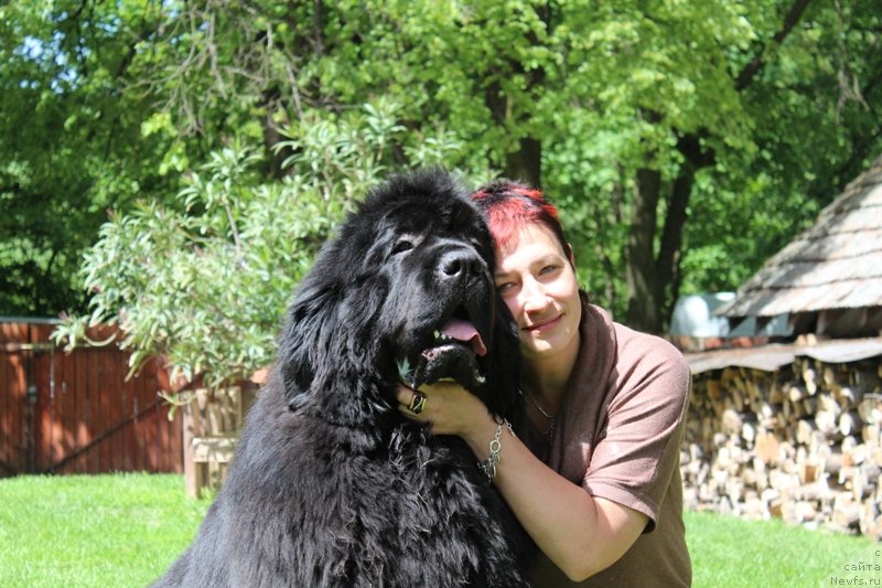 Фотография № 128510