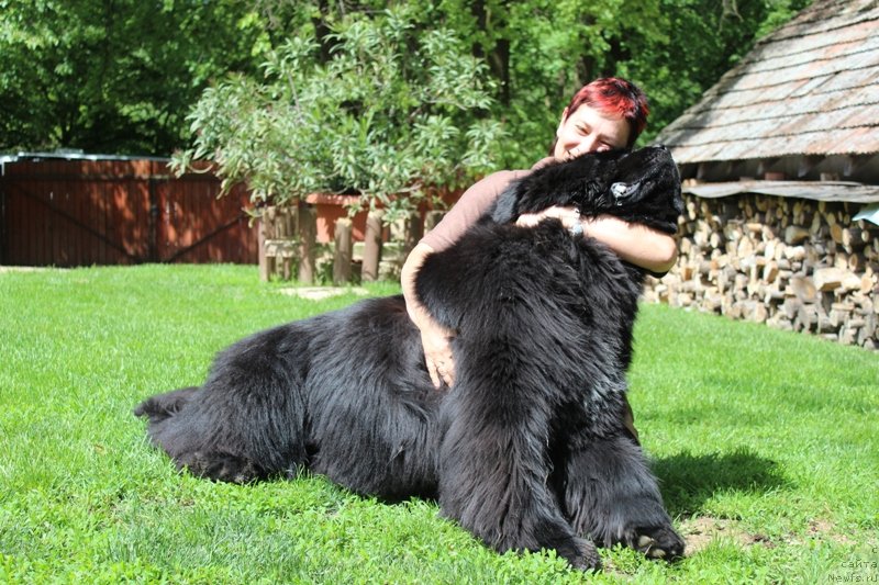 Фотография № 128512