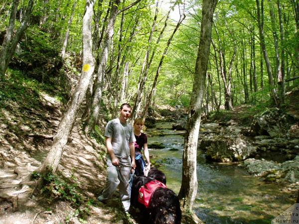 Фотография № 12853