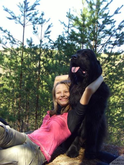 Фото: ньюфаундленд Lesnaya Skazka Lunnaya Sonata (Лесная Сказка Лунная Соната)