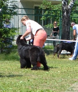 Фотография № 128613