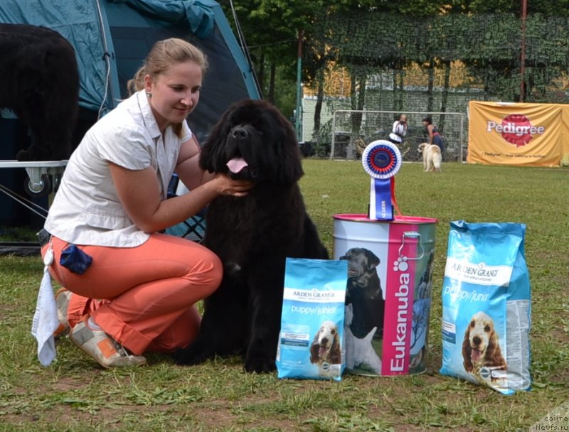 Фотография № 128616