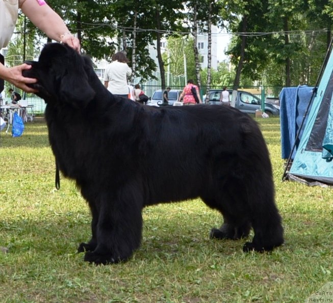 Фотография № 128621