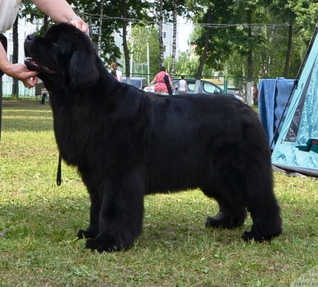 Фотография № 128623