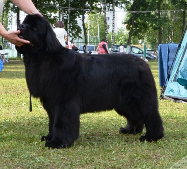 Фотография № 128624